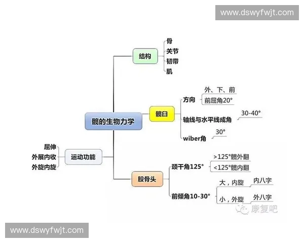 生物力学视角下人体运动与健康优化的理论与应用研究 生物力学视角下人体运动与健康优化的理论与应用研究