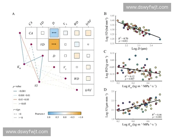 围绕弱侧进攻构建球队战术优势实现空间拉扯与多点开花策略研究
